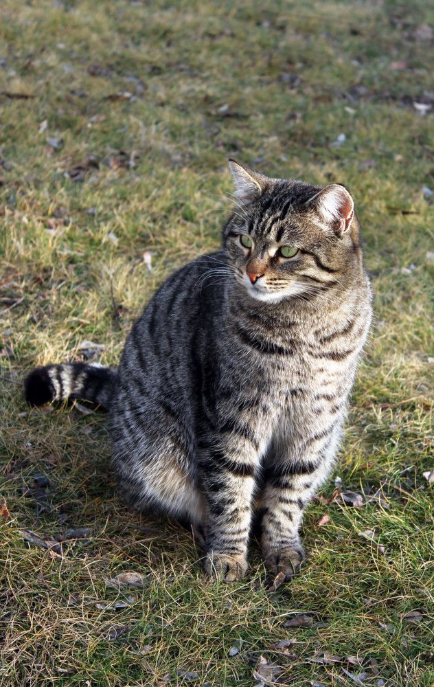 Photograph by Ольга Абугалиева