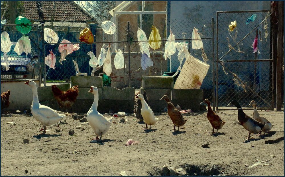 Photograph by Nadaškić Jasminka