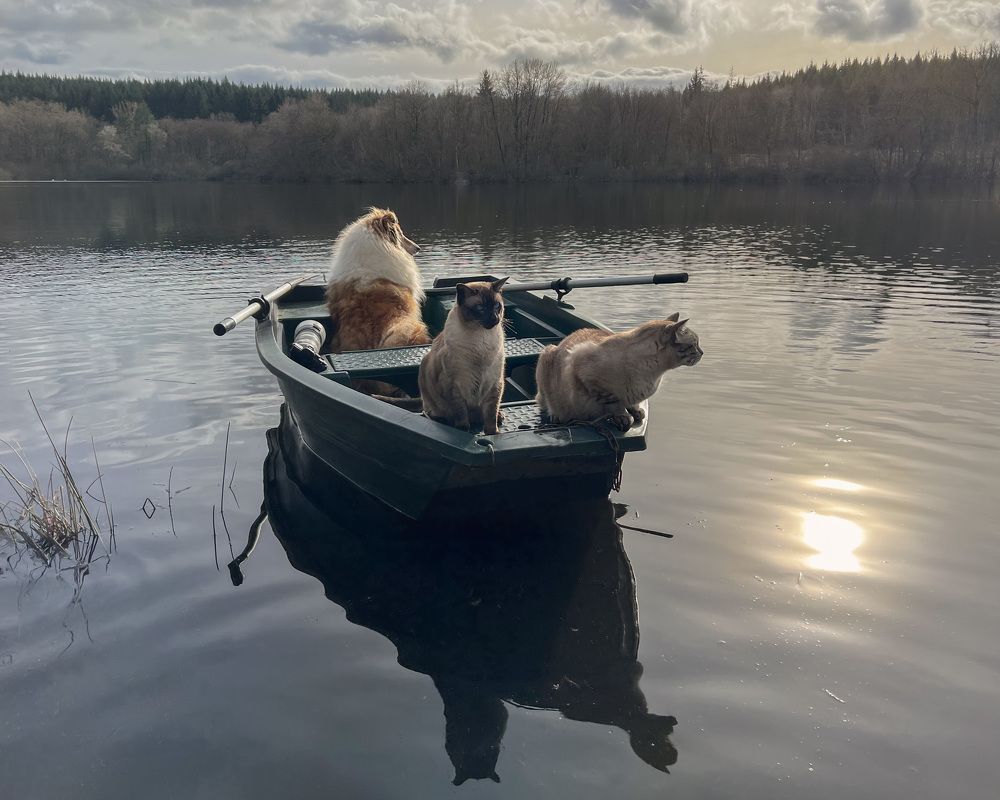 Photograph by LYUDMYLA POKRYSHEN