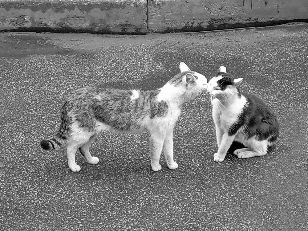 Photograph by Boris Butianov