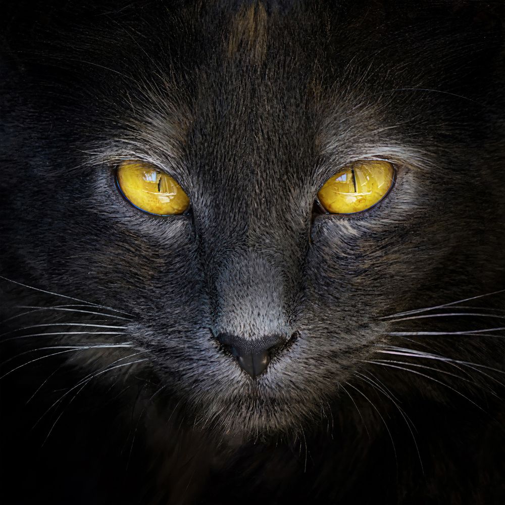 Photograph by Eduardo Modolo