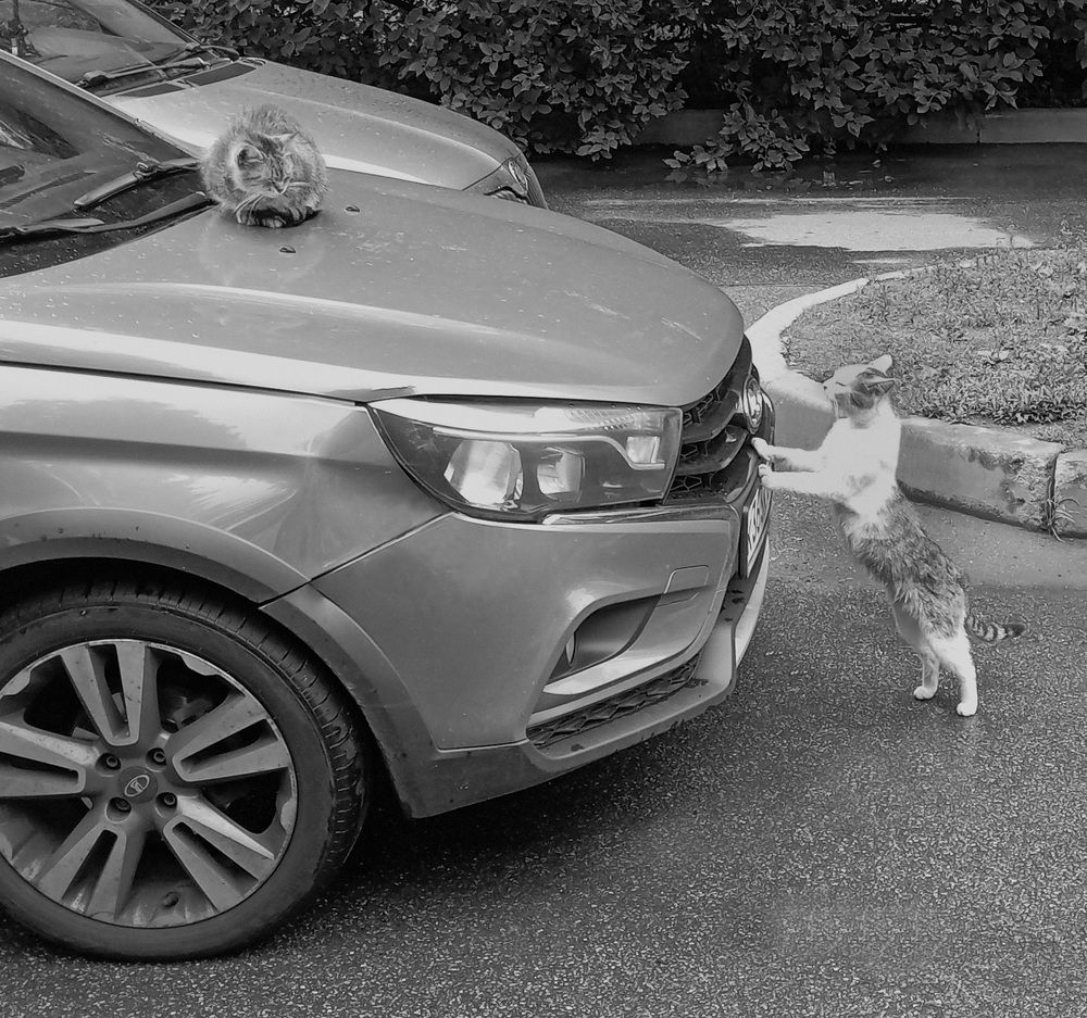 Photograph by Boris Butianov