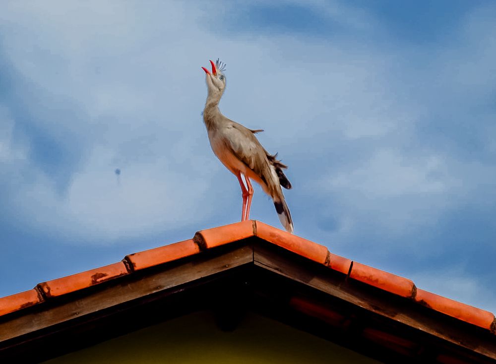 Photograph by ANDRE BATISTA DOS SANTOS