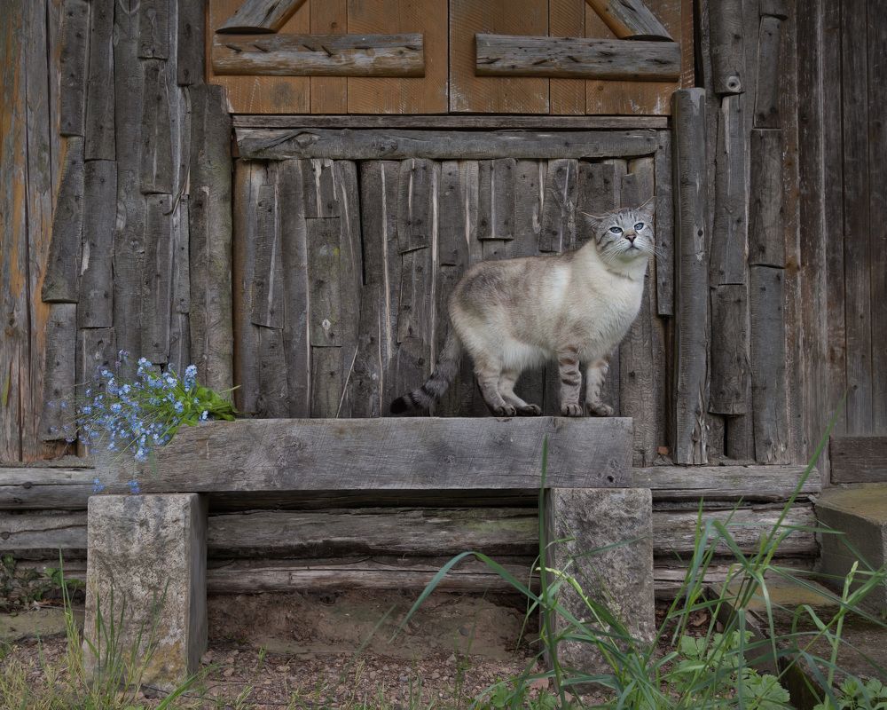 Photograph by LYUDMYLA POKRYSHEN