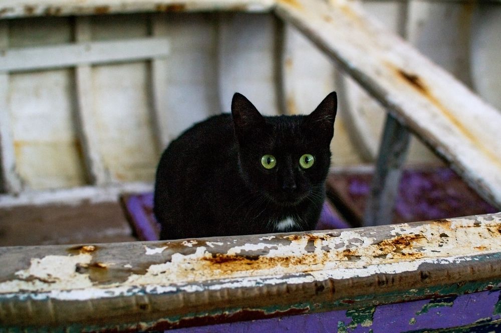 Photograph by Moataz Helmy