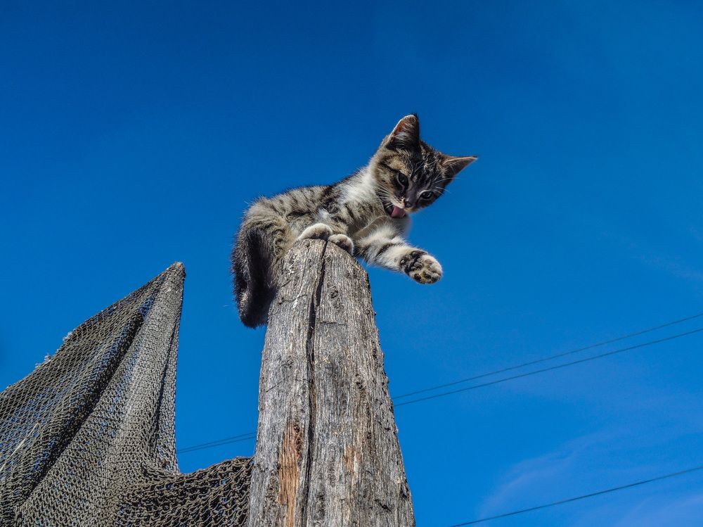 Photograph by Безбородов Георгий