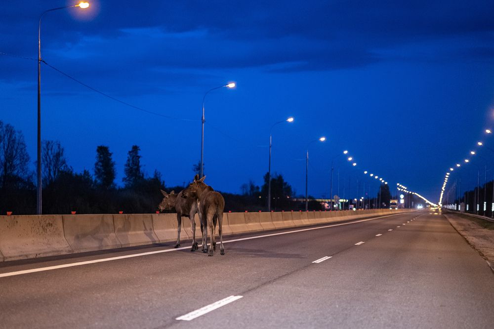 Photograph by Иван Грачев