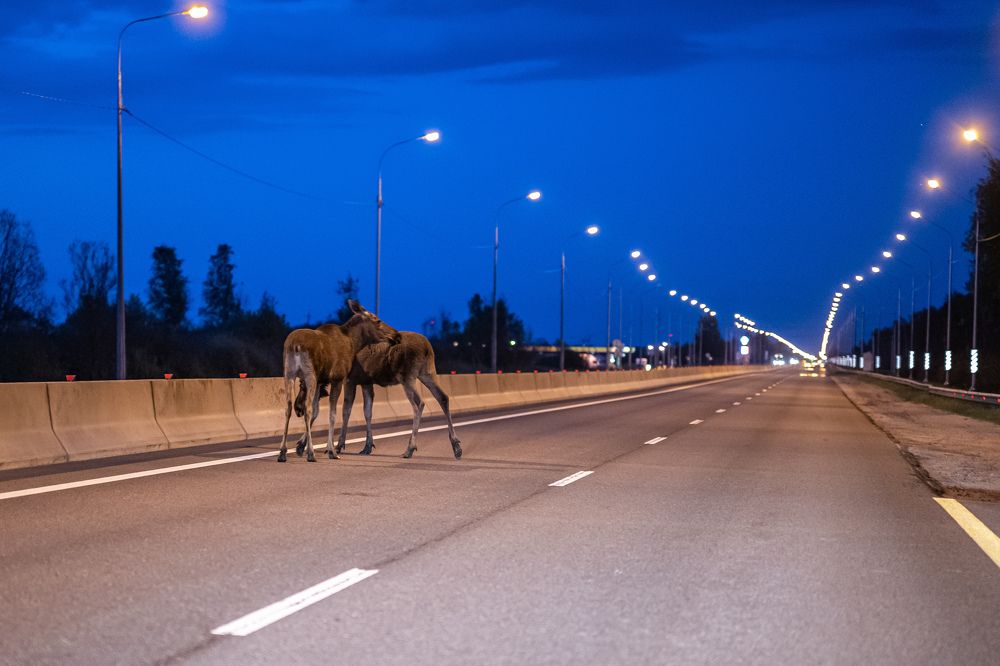 Photograph by Иван Грачев