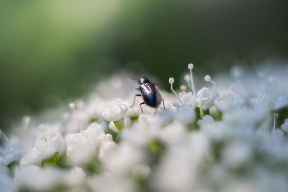 Photograph by Наталья Островцева