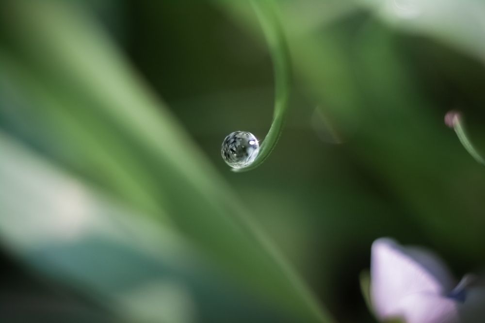 Photograph by Наталья Островцева