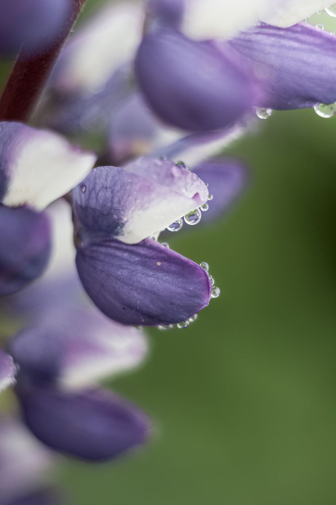 Photograph by Наталья Островцева