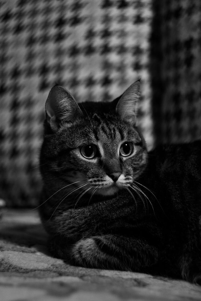 Photograph by Татьяна