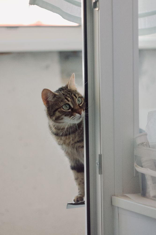 Photograph by Татьяна