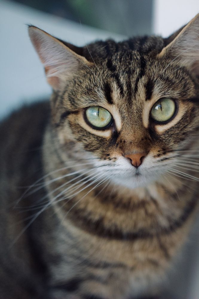 Photograph by Татьяна