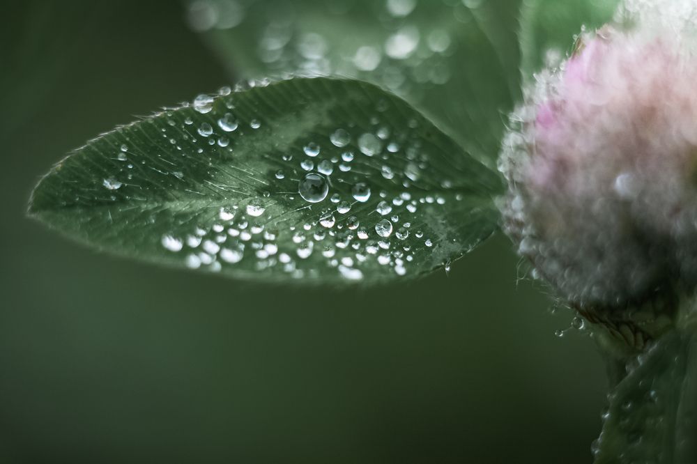 Photograph by Наталья Островцева