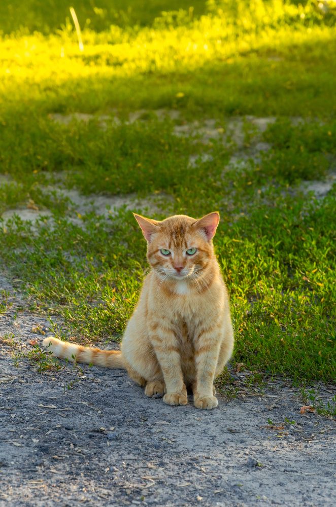Фотография автора Анастасия Роговцова