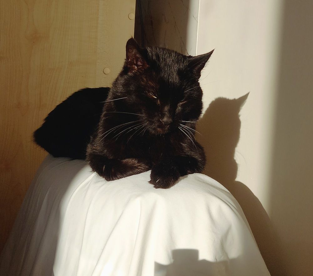 Photograph by Наталья Покрепина