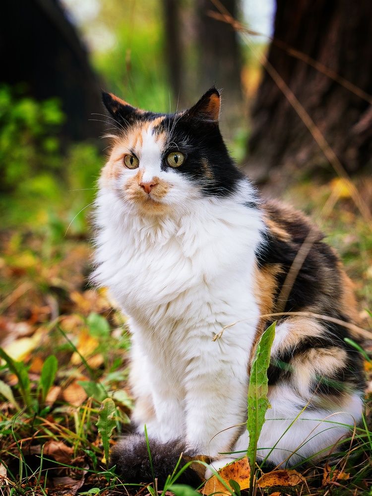 Photograph by Владимир Венедиктов