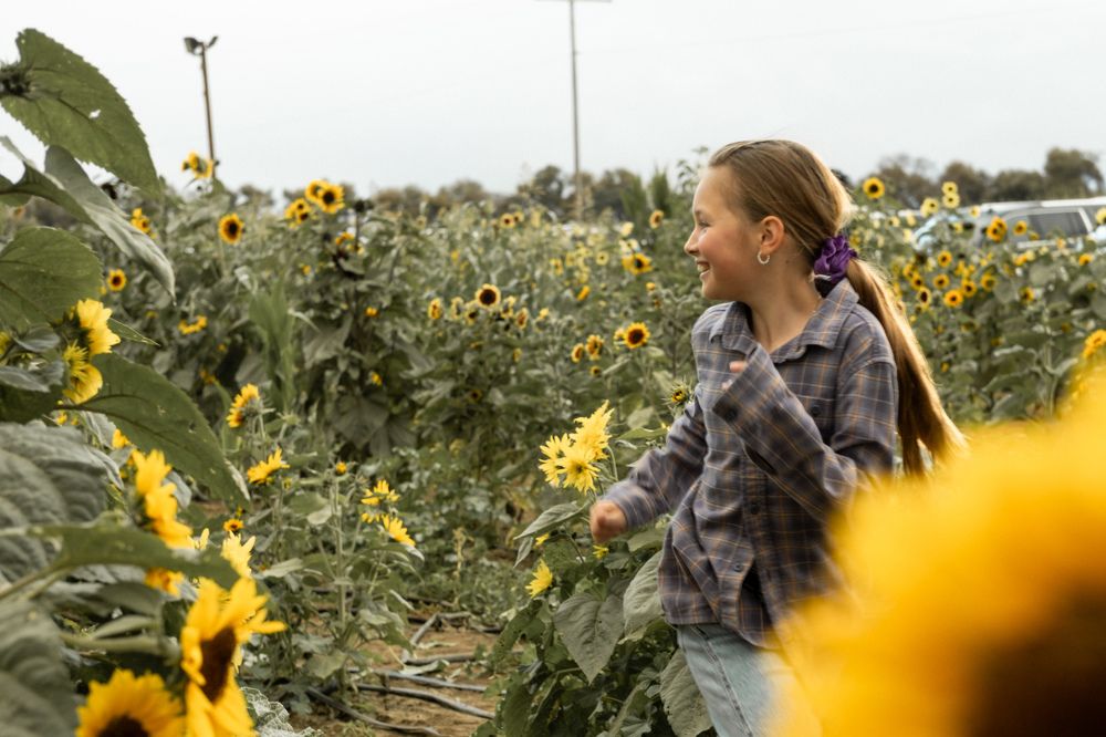 Photograph by Anna Cherkasova