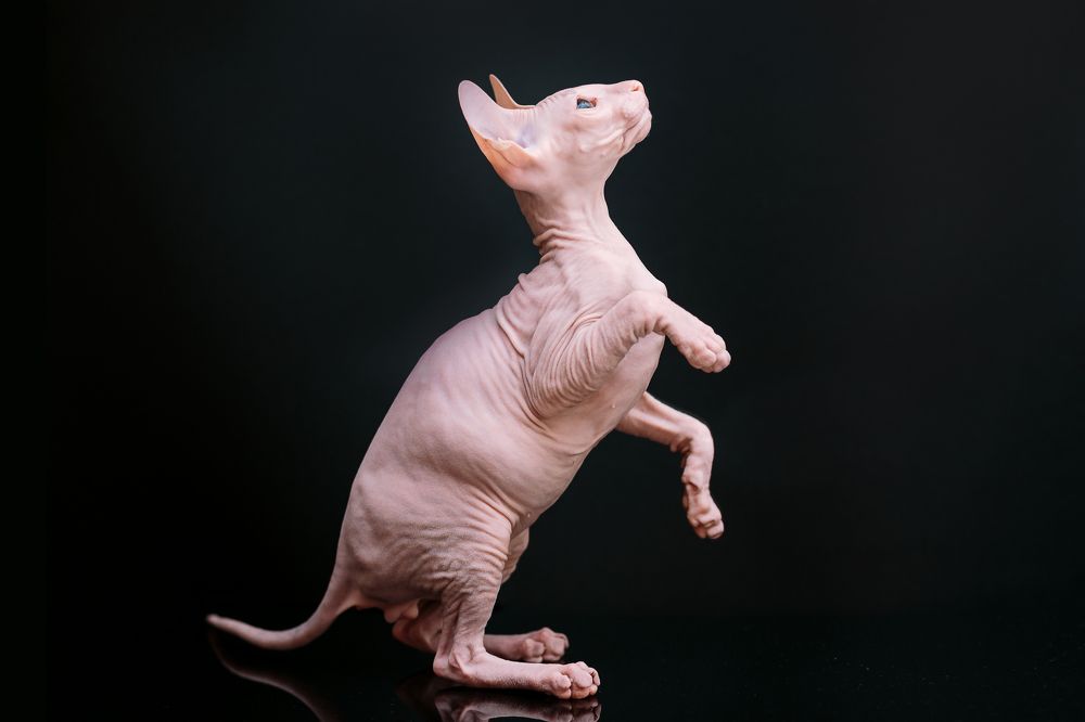 Photograph by Сергей Зеленский