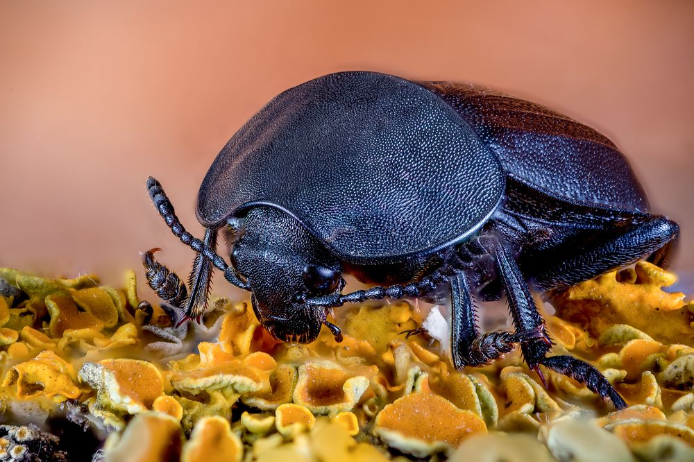 Photograph by Юрий Яковлевич