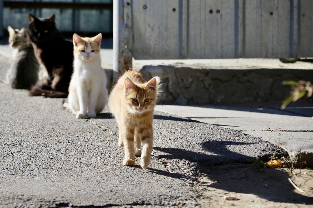 Photograph by Павел Швец