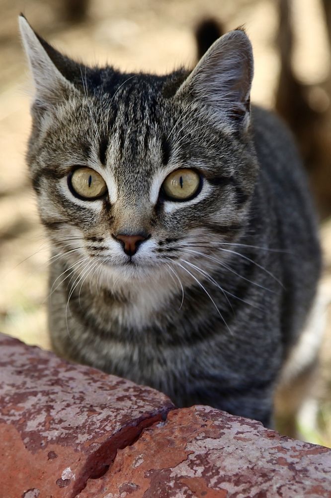 Photograph by Павел Швец