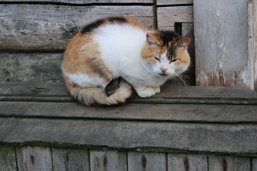 Photograph by Olga Bagaeva