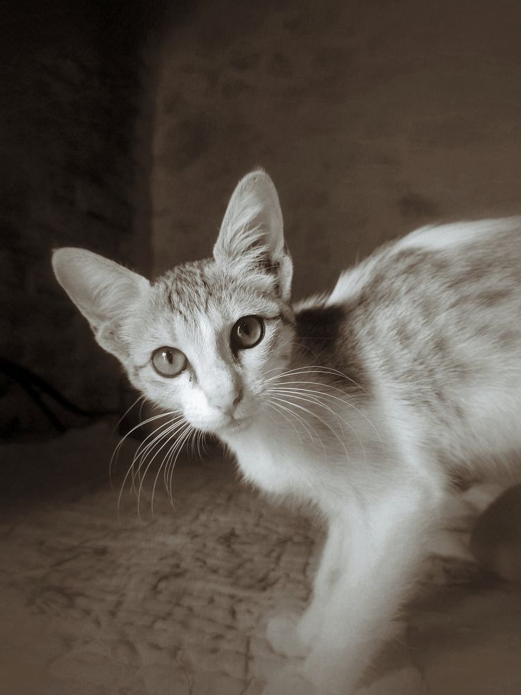 Photograph by Mahesh Varade