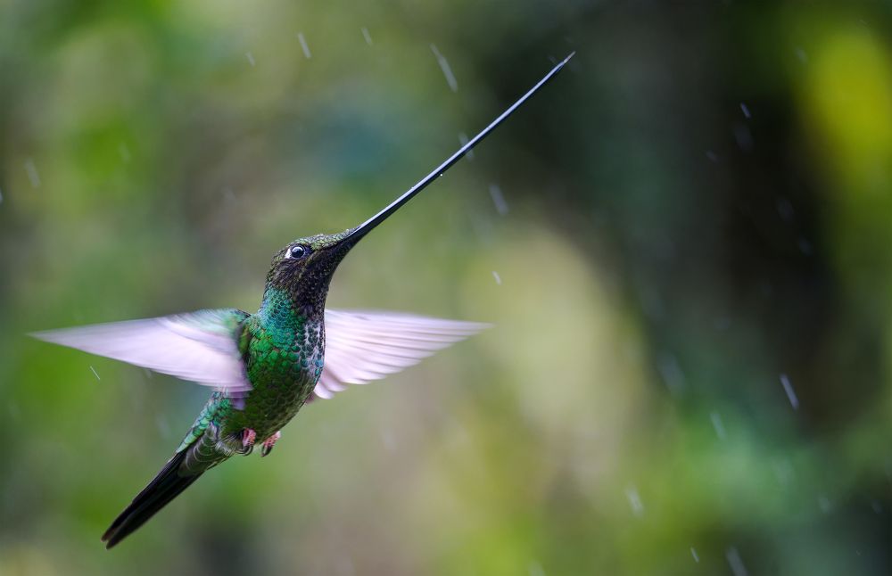 Photograph by Miguel San Martin