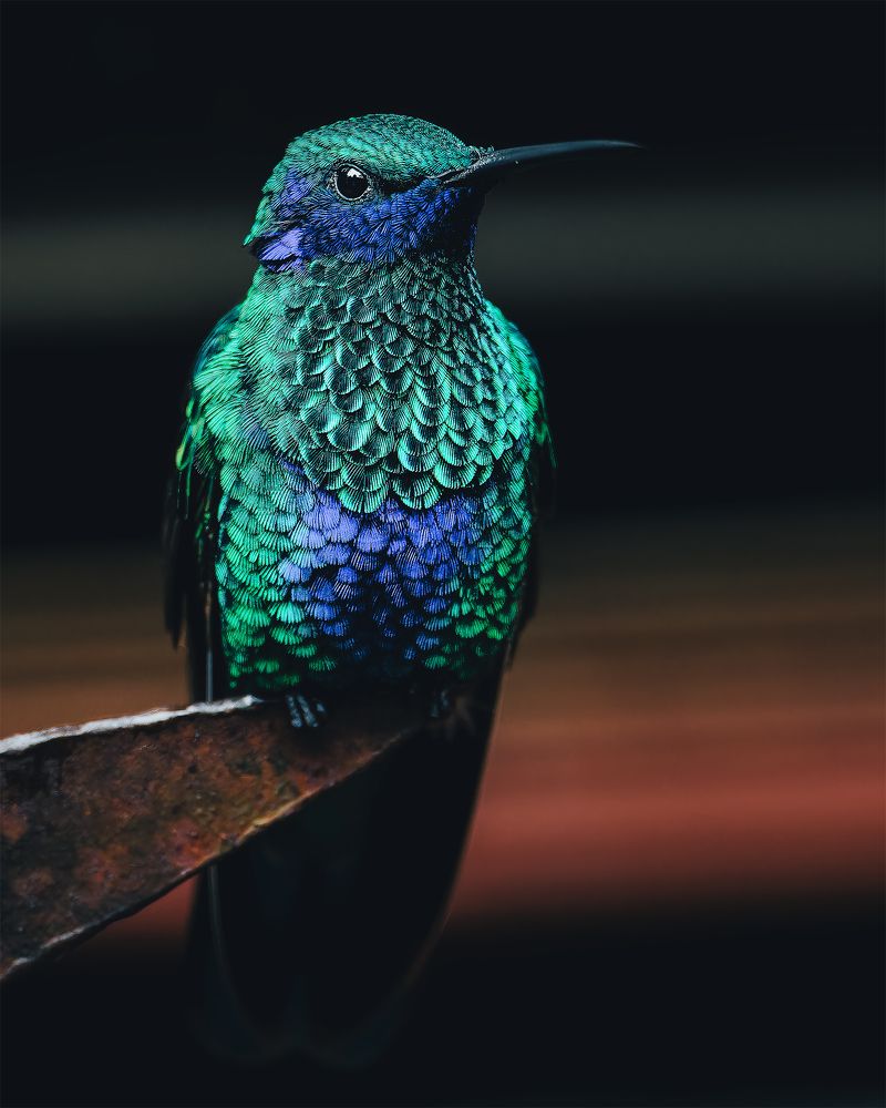 Photograph by Miguel San Martin