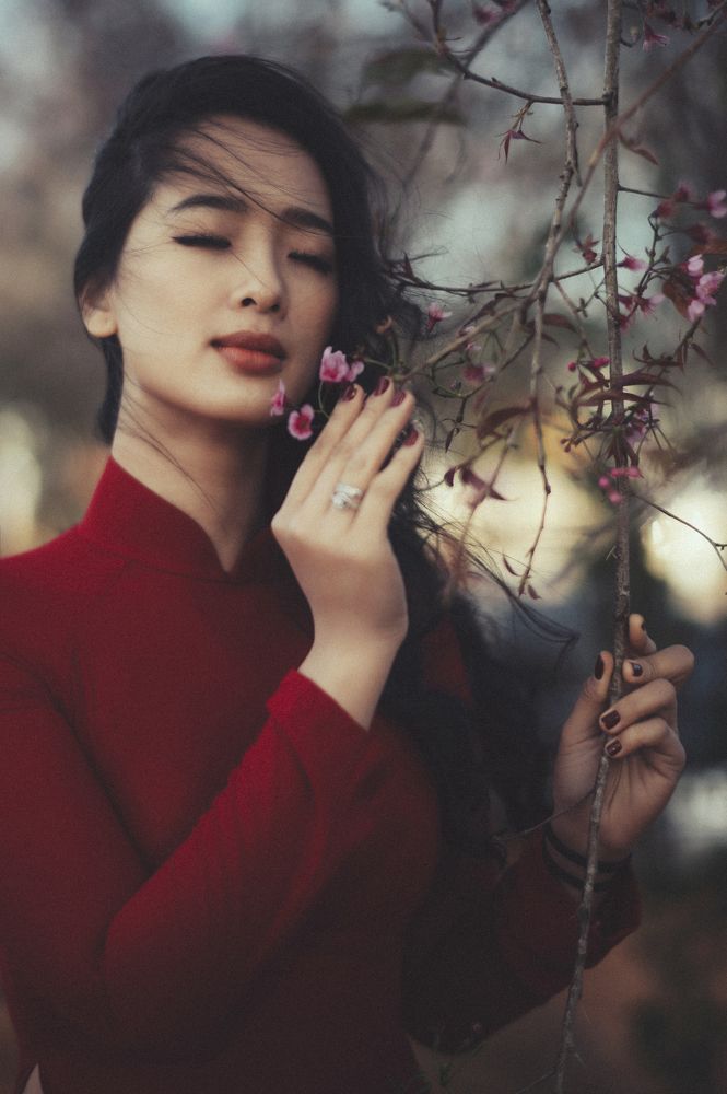 Фотография автора Thien Vu Vu