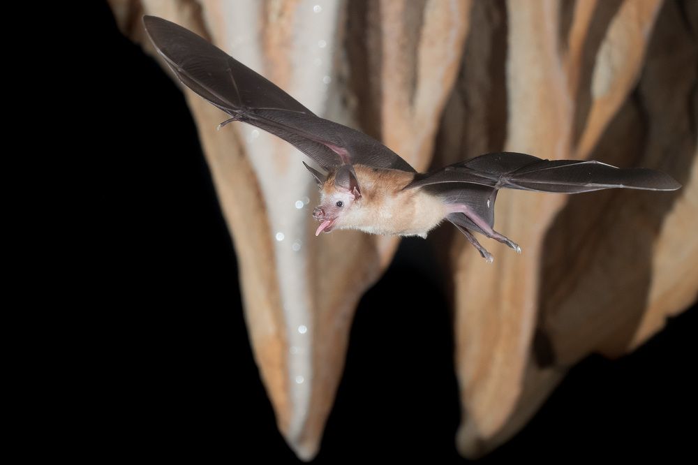 Photograph by Angel Torres