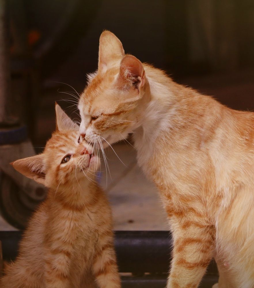 Photograph by Mahesh Varade