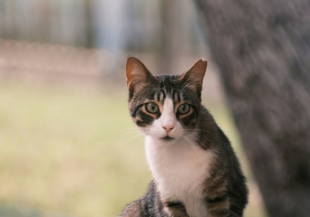 Photograph by Mahesh Varade