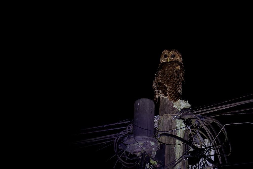 Photograph by Miguel San Martin