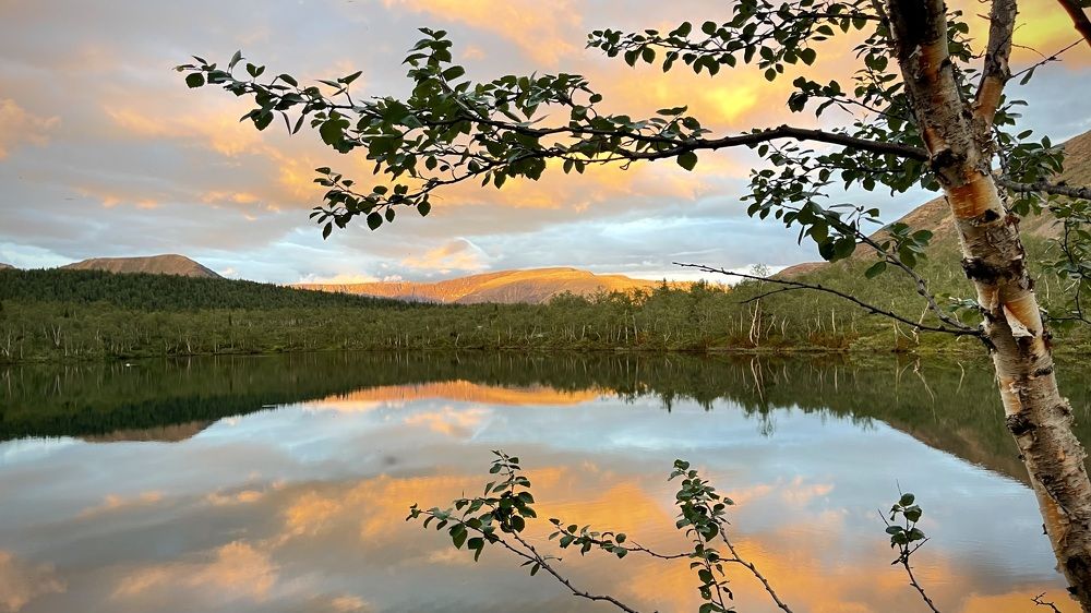 Фотография автора Юлия Шумейко