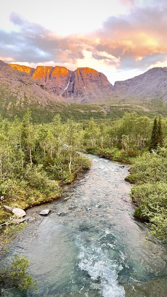 Фотография автора Юлия Шумейко
