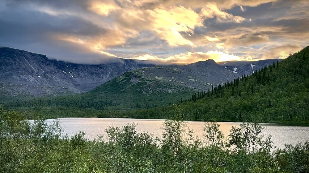 Фотография автора Юлия Шумейко