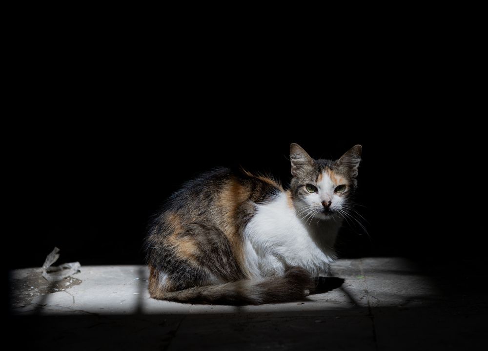 Photograph by Otto Acosta