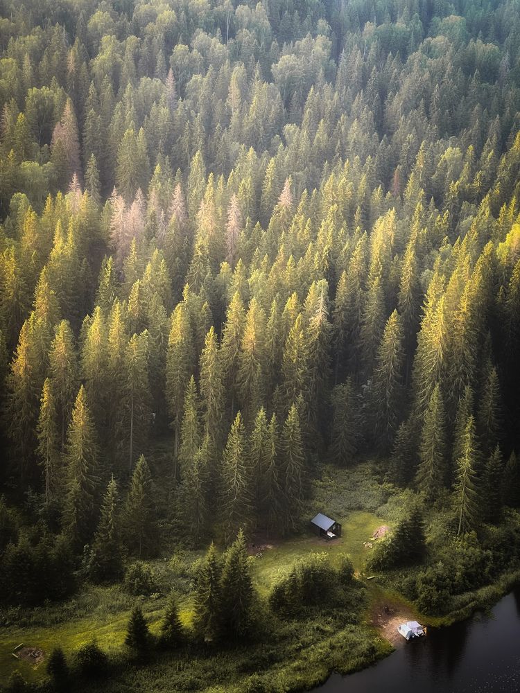 Фотография автора Дарья Кузнецова