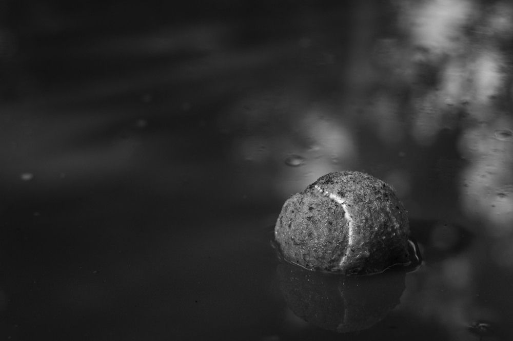 Фотография автора Дмитрий Овчинников