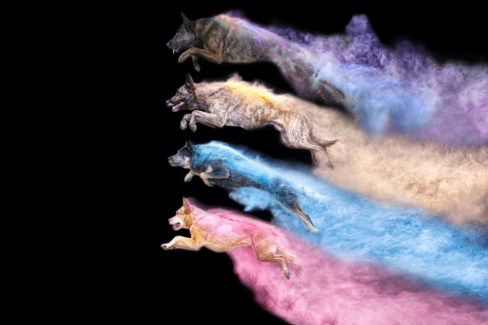 Photograph by Andrew Eaton