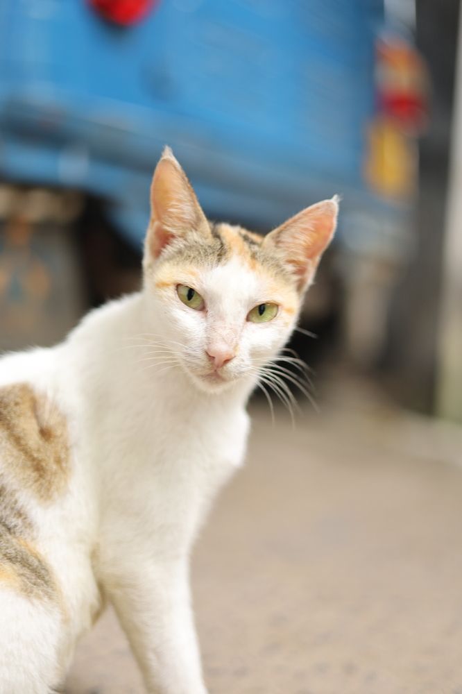 Photograph by Glorius Delima