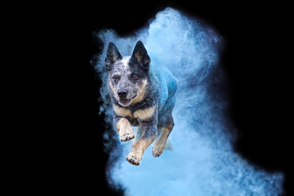 Photograph by Andrew Eaton