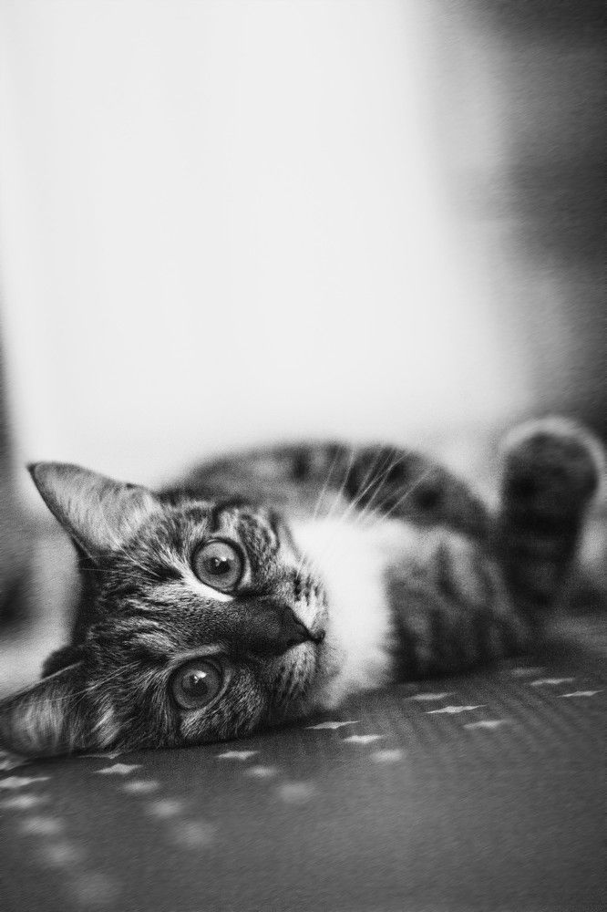 Photograph by Ольга Ажакина