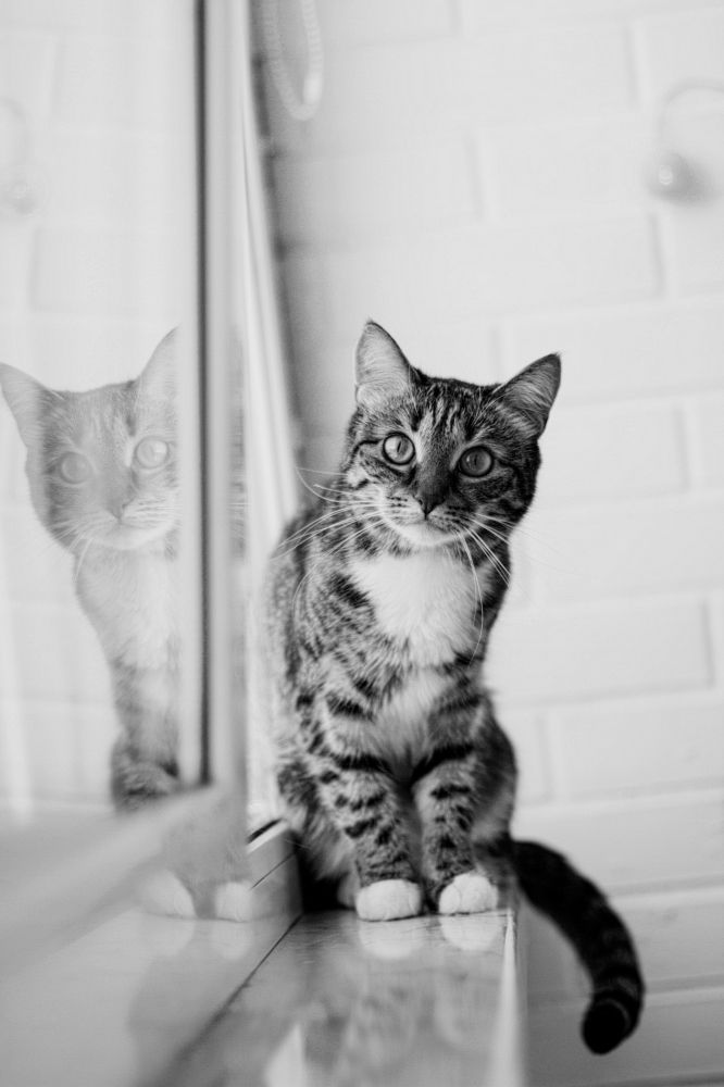 Photograph by Ольга Ажакина