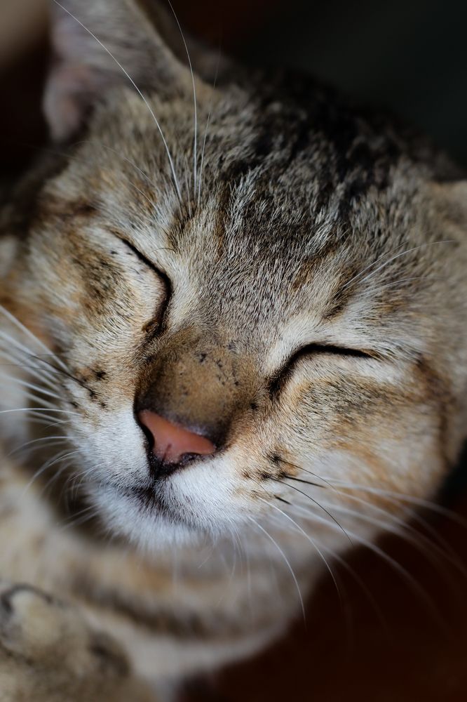 Photograph by Mathew Nishanth A