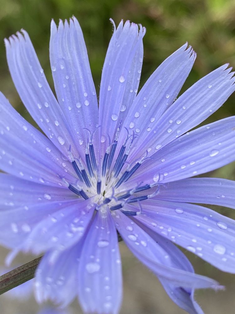 Photograph by Жанна Усатова