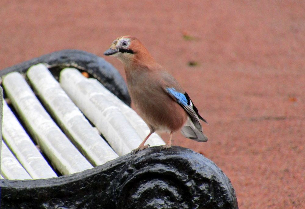 Photograph by Татьяна Смирнова